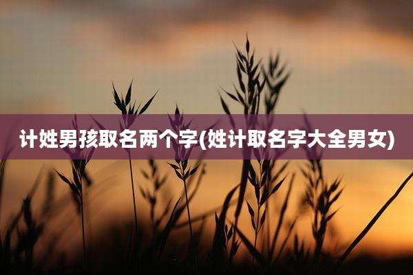 计姓男孩取名两个字(姓计取名字大全男女)
