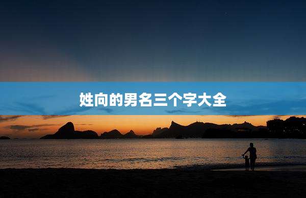姓向的男名三个字大全