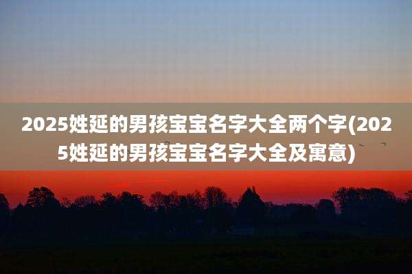 2025姓延的男孩宝宝名字大全两个字(2025姓延的男孩宝宝名字大全及寓意)