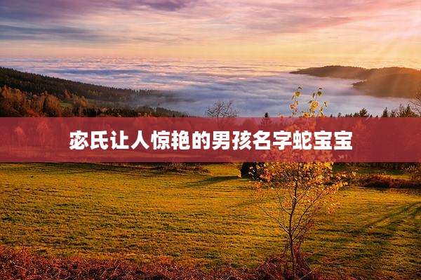 宓氏让人惊艳的男孩名字蛇宝宝