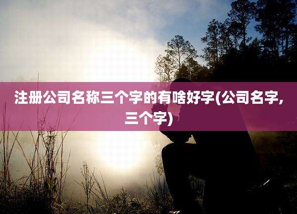 注册公司名称三个字的有啥好字(公司名字,三个字)