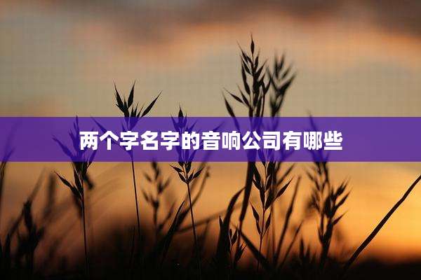 两个字名字的音响公司有哪些