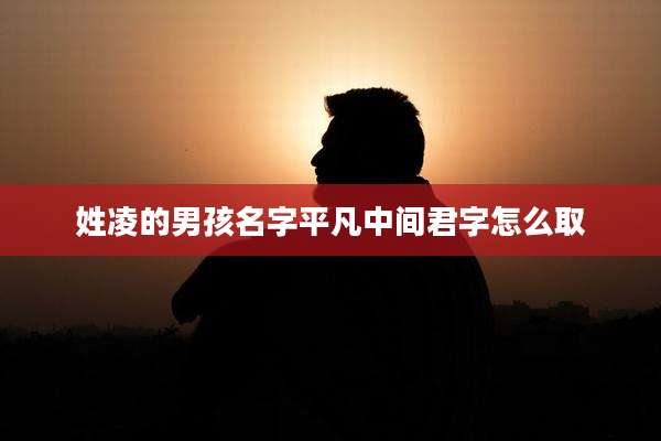 姓凌的男孩名字平凡中间君字怎么取
