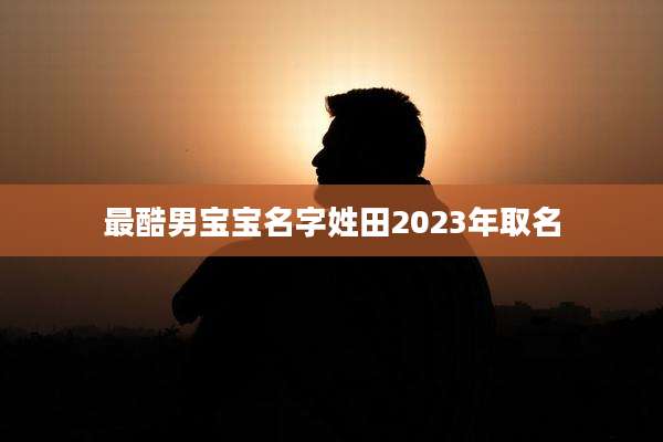 最酷男宝宝名字姓田2023年取名