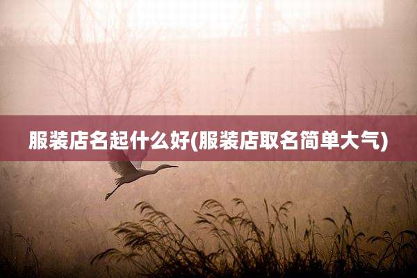服装店名起什么好(服装店取名简单大气)