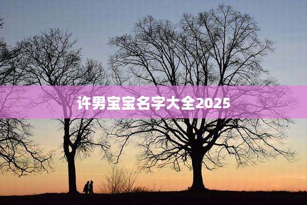 许男宝宝名字大全2025
