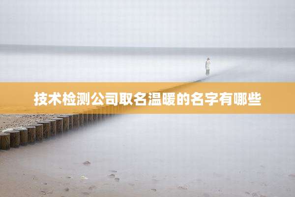 技术检测公司取名温暖的名字有哪些