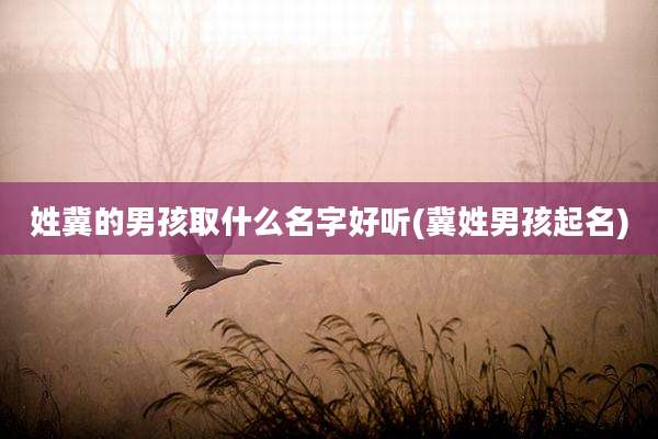 姓冀的男孩取什么名字好听(冀姓男孩起名)