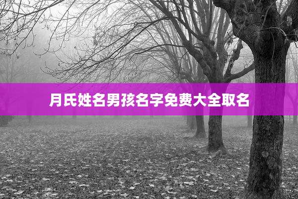 月氏姓名男孩名字免费大全取名