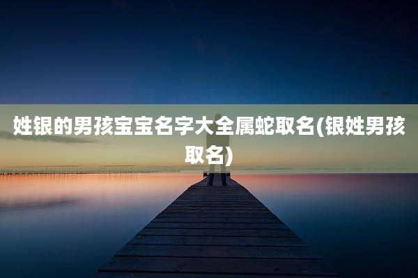 姓银的男孩宝宝名字大全属蛇取名(银姓男孩取名)