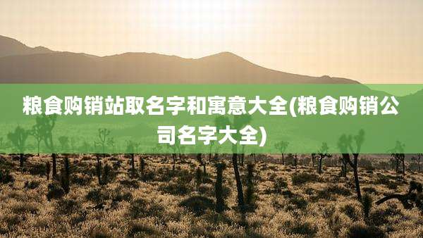 粮食购销站取名字和寓意大全(粮食购销公司名字大全)