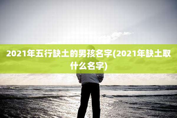 2021年五行缺土的男孩名字(2021年缺土取什么名字)