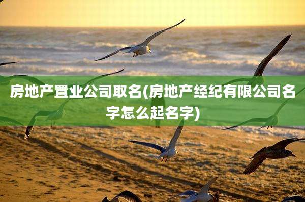 房地产置业公司取名(房地产经纪有限公司名字怎么起名字)