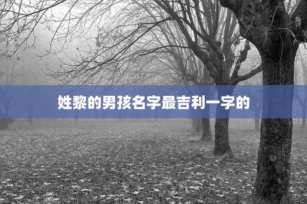 姓黎的男孩名字最吉利一字的