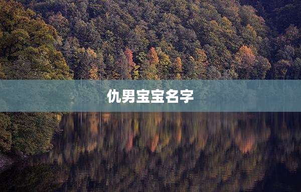 仇男宝宝名字