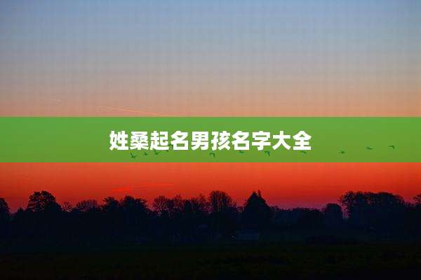 姓桑起名男孩名字大全