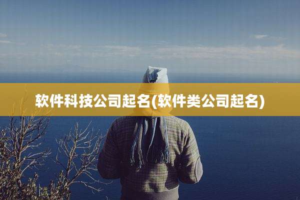 软件科技公司起名(软件类公司起名)