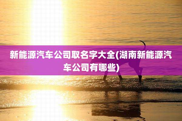 新能源汽车公司取名字大全(湖南新能源汽车公司有哪些)