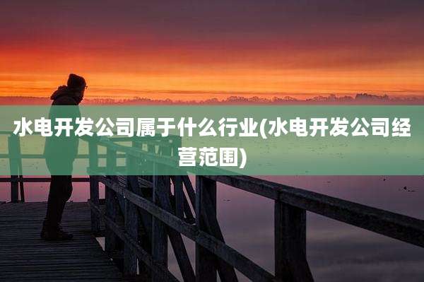 水电开发公司属于什么行业(水电开发公司经营范围)