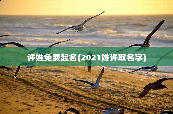 许姓免费起名(2021姓许取名字)