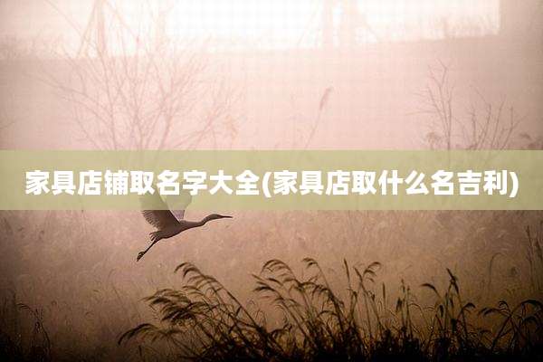 家具店铺取名字大全(家具店取什么名吉利)