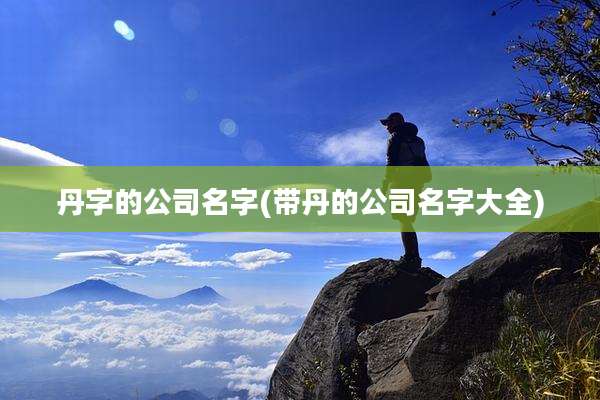 丹字的公司名字(带丹的公司名字大全)