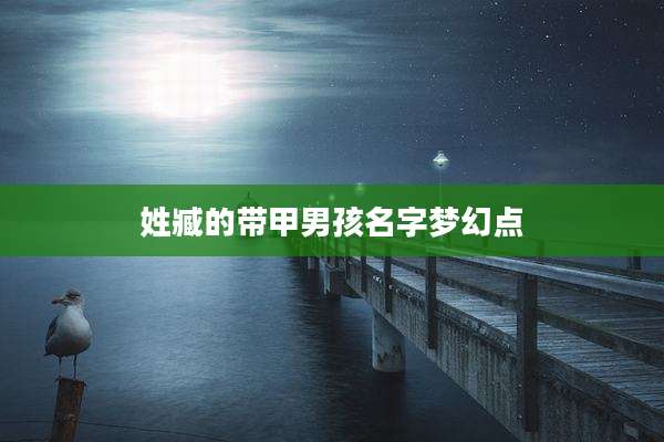 姓臧的带甲男孩名字梦幻点