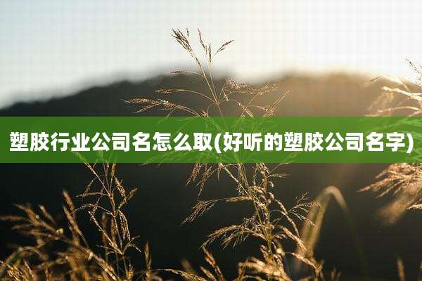 塑胶行业公司名怎么取(好听的塑胶公司名字)