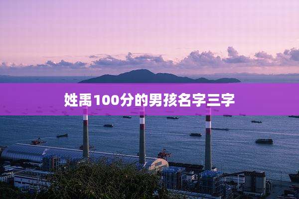 姓禹100分的男孩名字三字