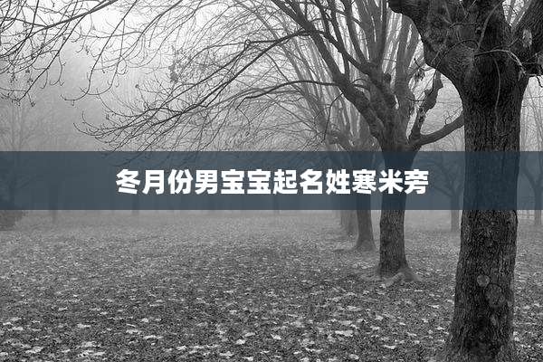 冬月份男宝宝起名姓寒米旁