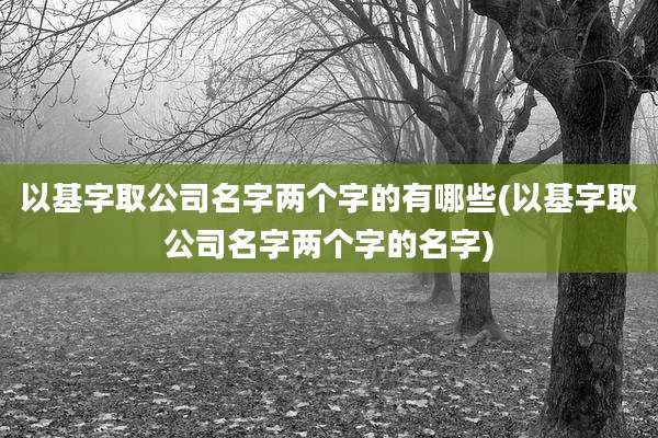 以基字取公司名字两个字的有哪些(以基字取公司名字两个字的名字)