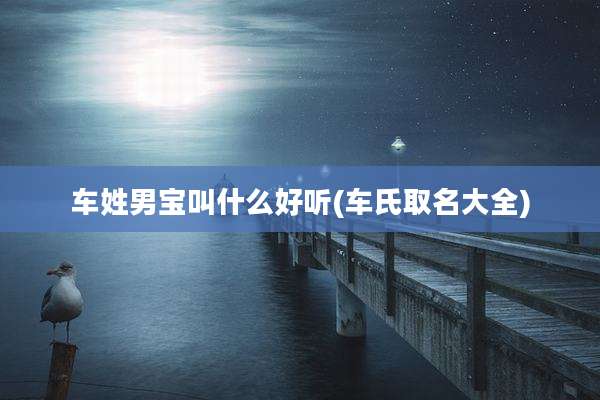 车姓男宝叫什么好听(车氏取名大全)