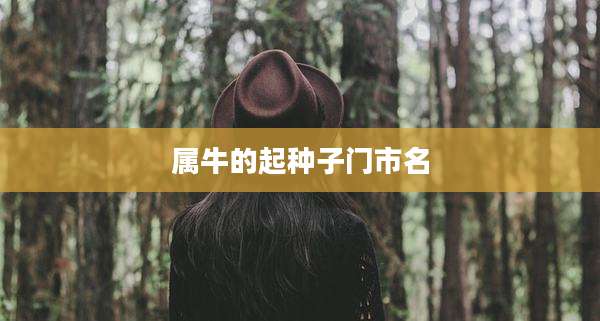 属牛的起种子门市名