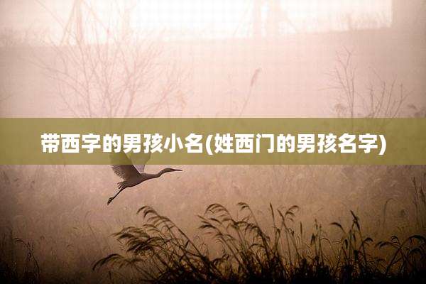 带西字的男孩小名(姓西门的男孩名字)