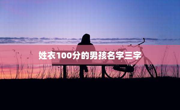 姓衣100分的男孩名字三字