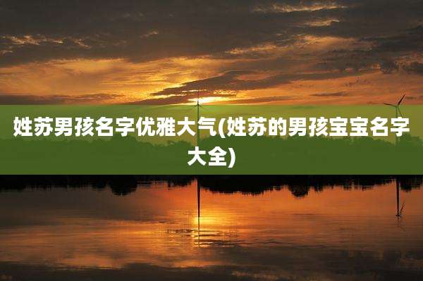 姓苏男孩名字优雅大气(姓苏的男孩宝宝名字大全)