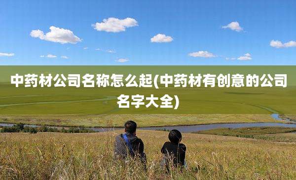 中药材公司名称怎么起(中药材有创意的公司名字大全)