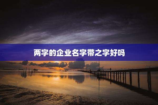 两字的企业名字带之字好吗