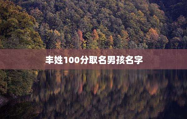 丰姓100分取名男孩名字