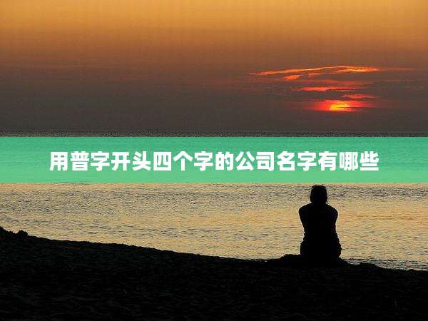 用普字开头四个字的公司名字有哪些