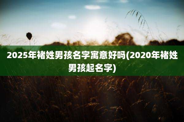 2025年褚姓男孩名字寓意好吗(2020年褚姓男孩起名字)