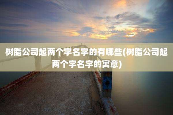树脂公司起两个字名字的有哪些(树脂公司起两个字名字的寓意)