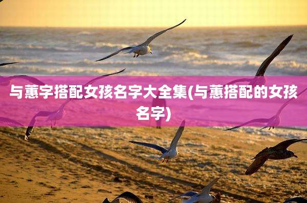 与蕙字搭配女孩名字大全集(与蕙搭配的女孩名字)