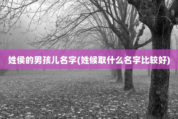 姓侯的男孩儿名字(姓候取什么名字比较好)