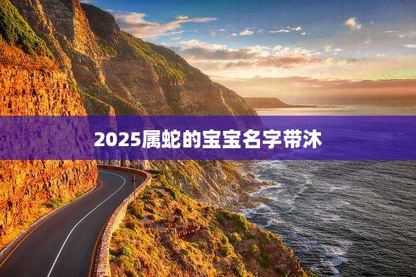 2025属蛇的宝宝名字带沐