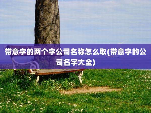 带意字的两个字公司名称怎么取(带意字的公司名字大全)