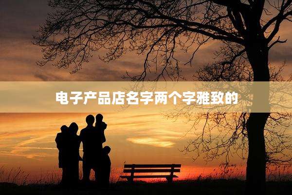 电子产品店名字两个字雅致的