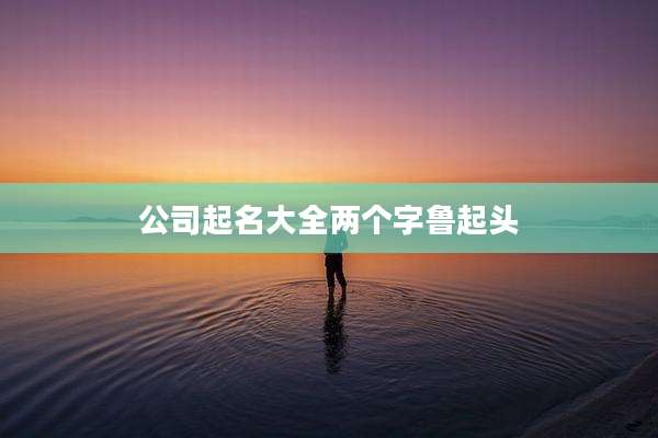 公司起名大全两个字鲁起头