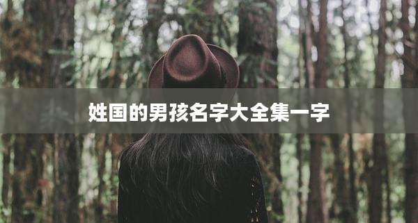 姓国的男孩名字大全集一字