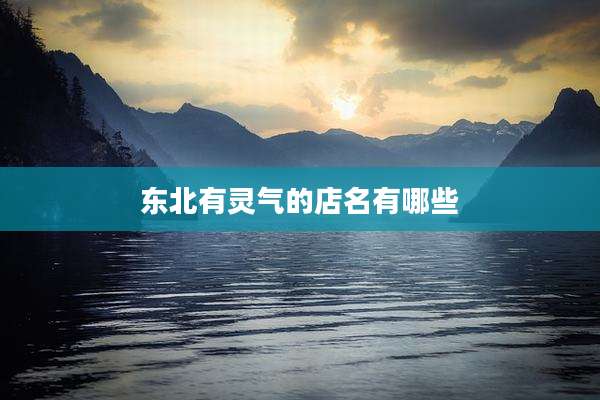 东北有灵气的店名有哪些